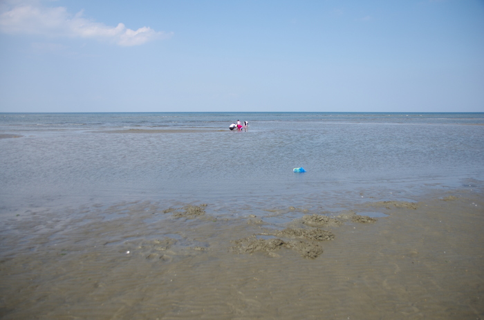 f0195813_21292590.jpg