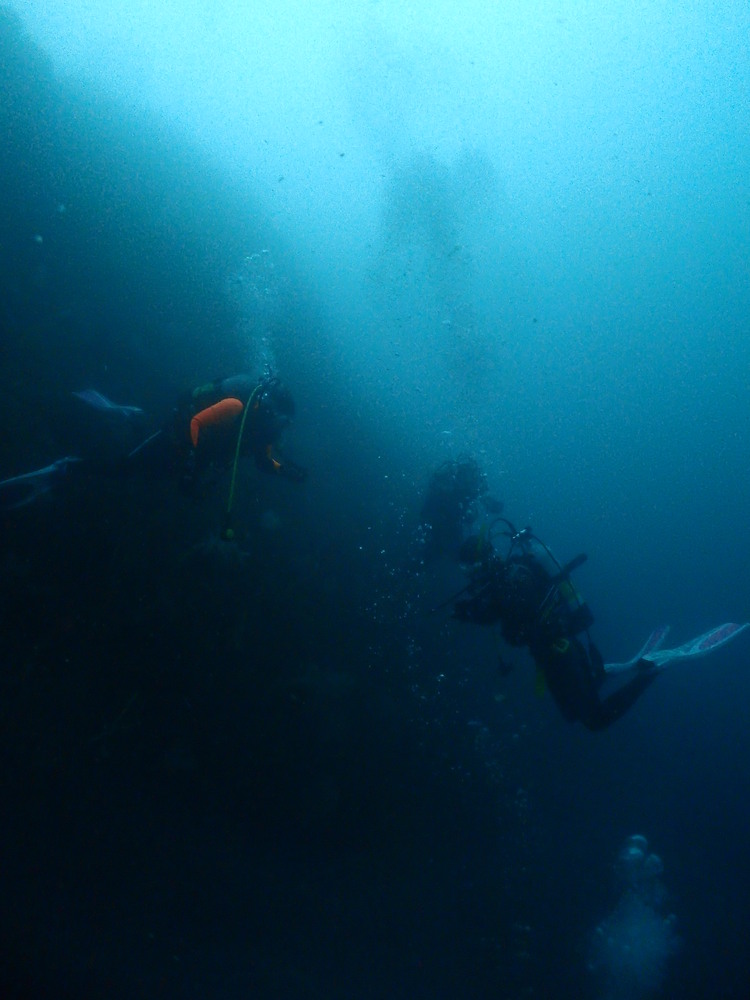 a0104720_0214923.jpg