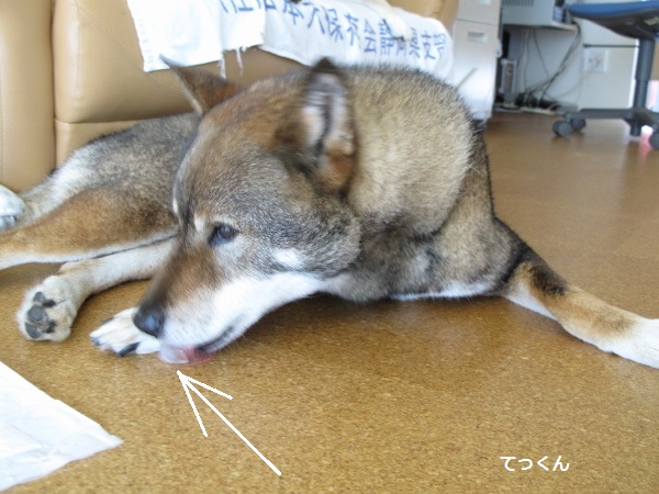 f0143123_2105610.jpg