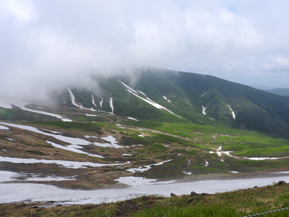 f0118332_23491661.jpg