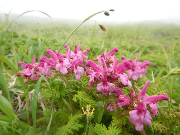 f0118332_2351082.jpg