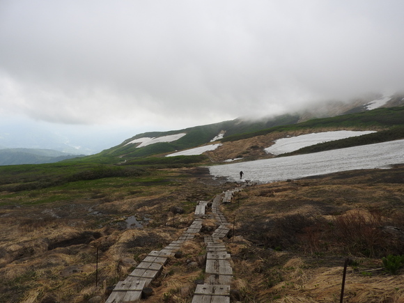 f0118332_2353139.jpg