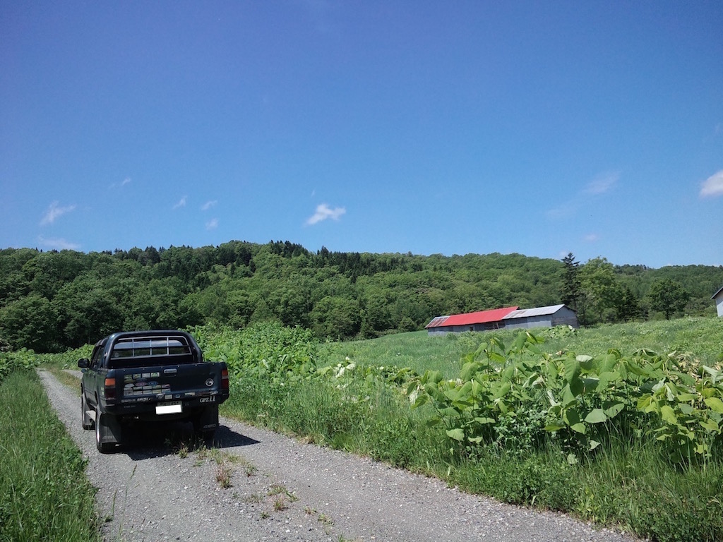 f0118335_2203379.jpg