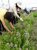 f0167635_20201657.jpg