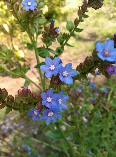a0018655_11001181.jpg