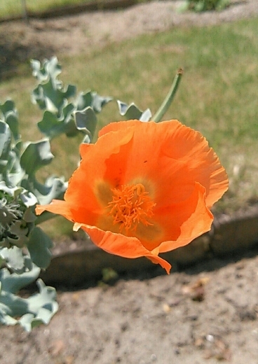 a0018655_11002373.jpg