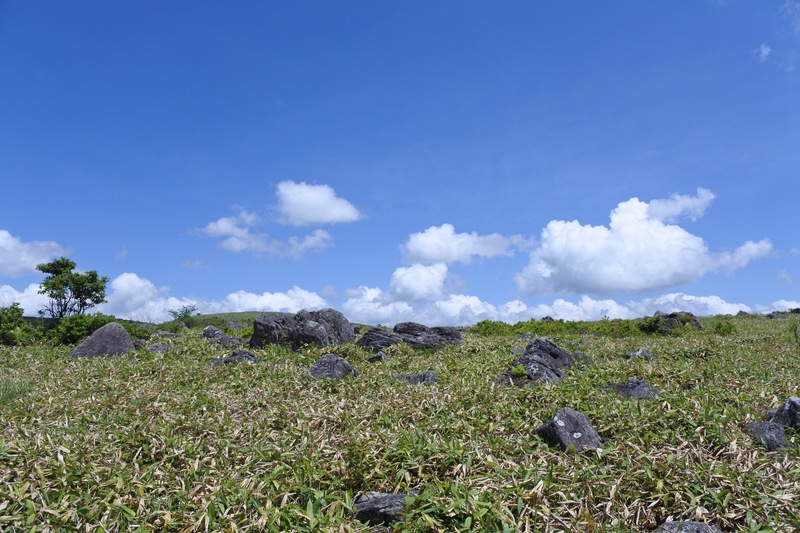 c0140260_2213118.jpg