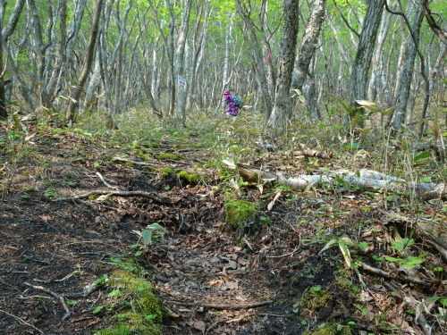 b0354279_17222750.jpg