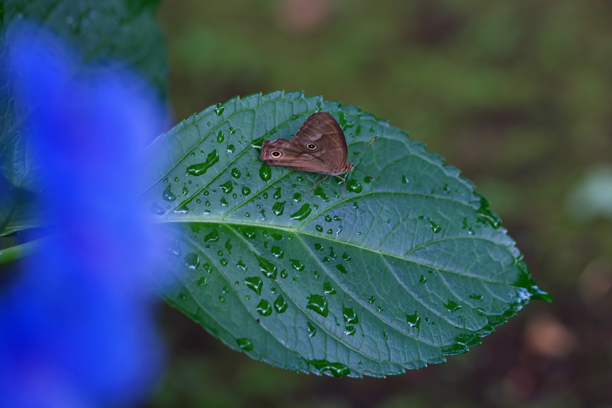 a0083081_18172079.jpg