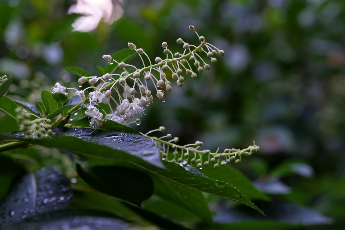 a0083081_1818727.jpg