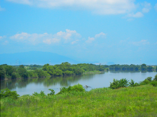 e0074782_21193944.jpg