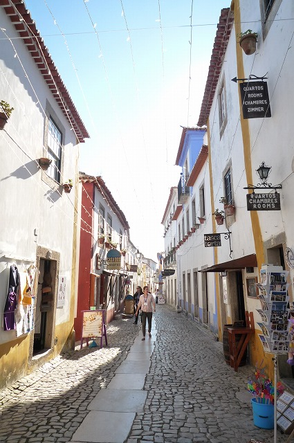 b0238886_2264588.jpg