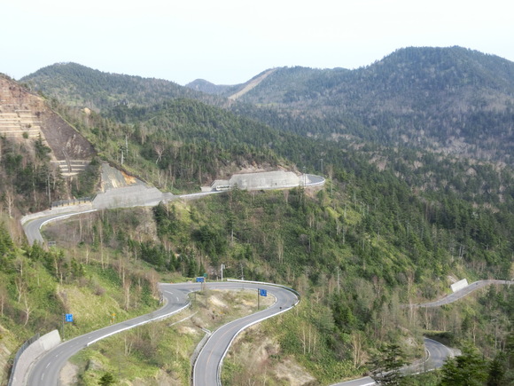 a0186689_8162534.jpg
