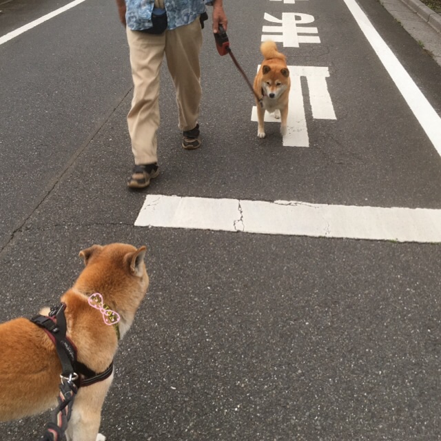 c0123890_20304137.jpg
