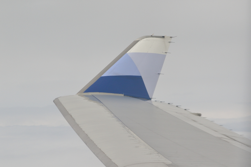 e0204891_2012924.jpg