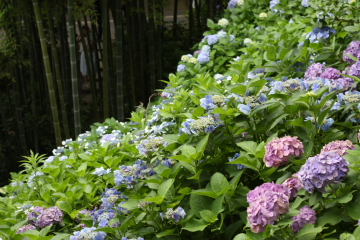 c0339296_2135269.jpg