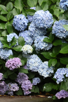 c0339296_2137389.jpg