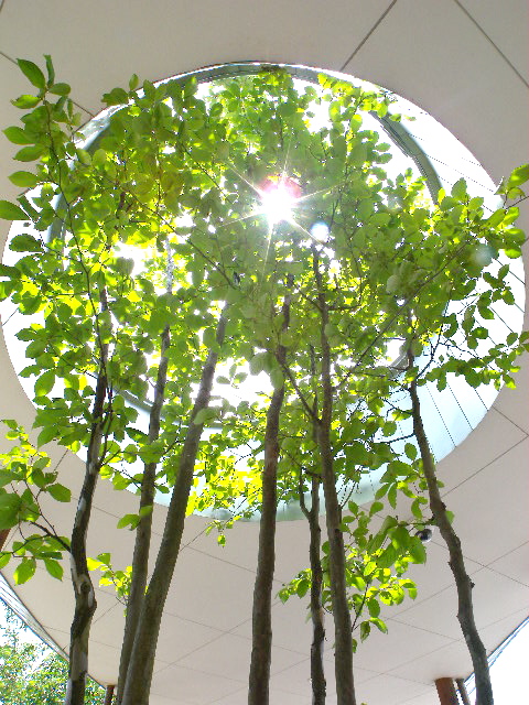 a0199297_16552228.jpg