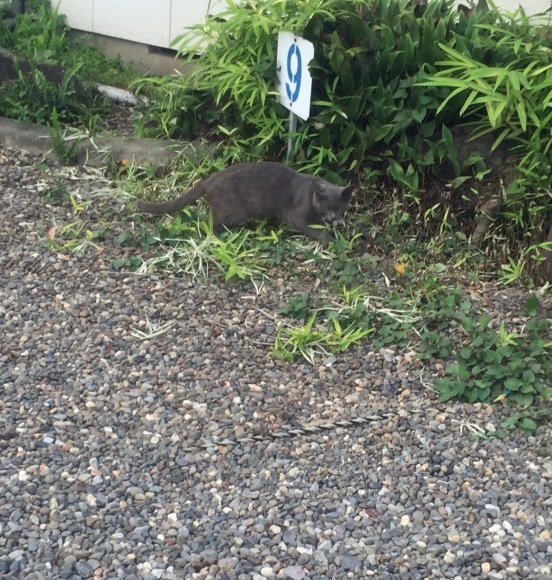 b0188998_23023397.jpeg