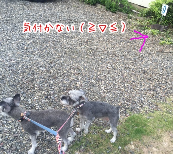 b0188998_23050340.jpeg