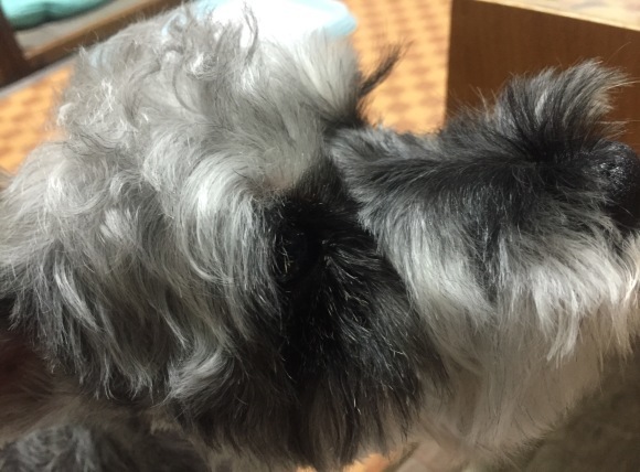 b0188998_23051782.jpeg