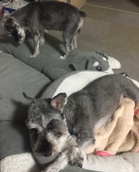b0188998_23054163.jpeg