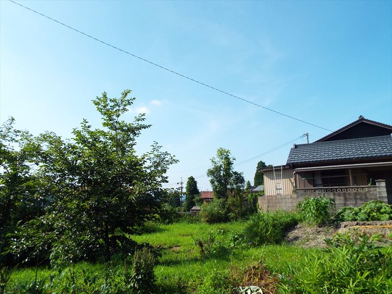 c0108198_1542504.jpg