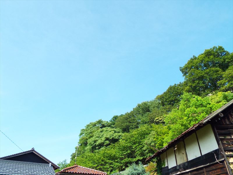 c0108198_1543577.jpg