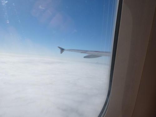 a0075800_12455337.jpg
