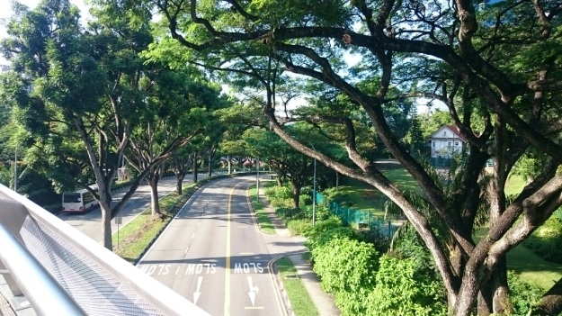 b0009106_21583853.jpg