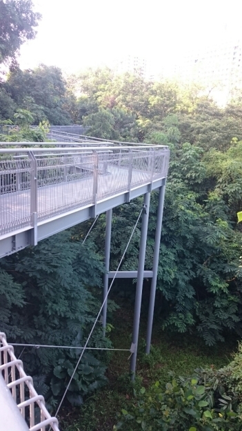 b0009106_22060054.jpg