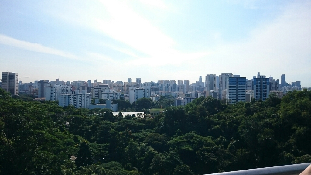 b0009106_22060980.jpg