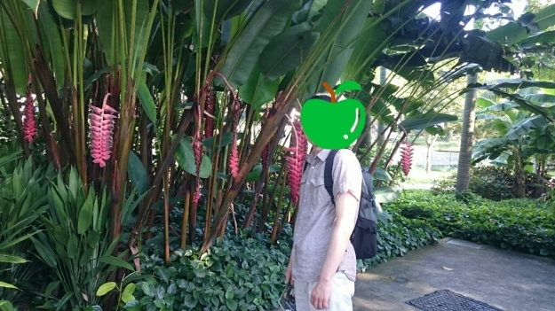 b0009106_22284931.jpg