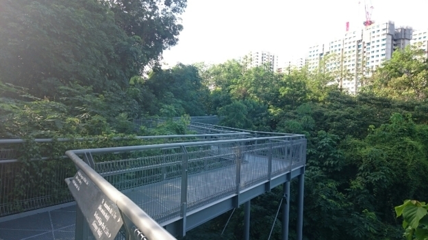 b0009106_22285139.jpg