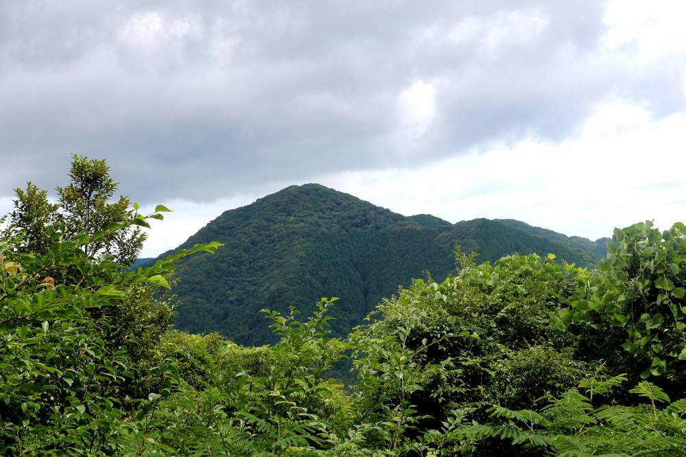 f0212511_2255104.jpg