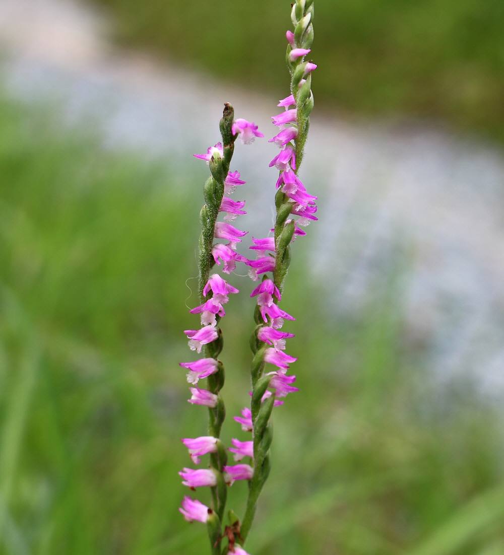 f0212511_22551645.jpg