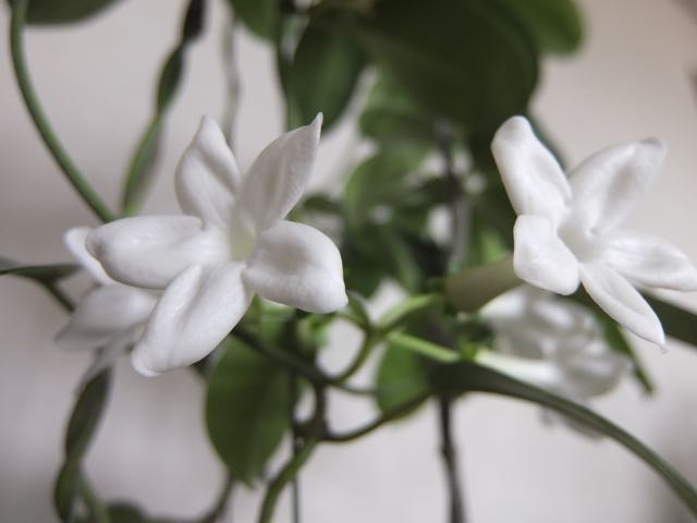 b0309813_12492388.jpg