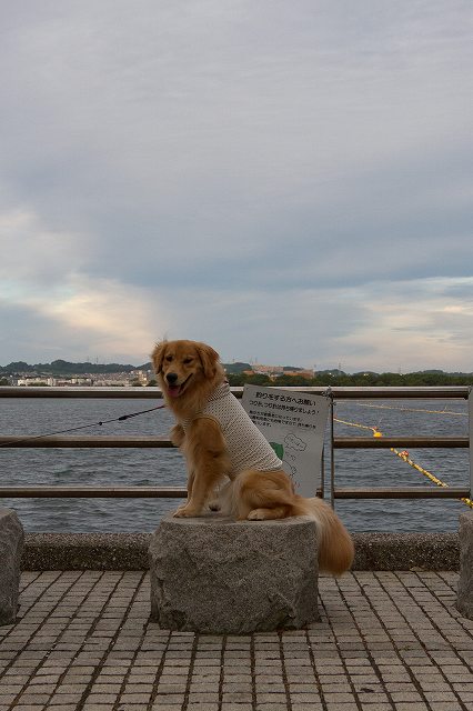 c0216518_858493.jpg
