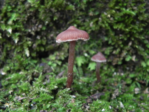 e0352220_20544800.jpg