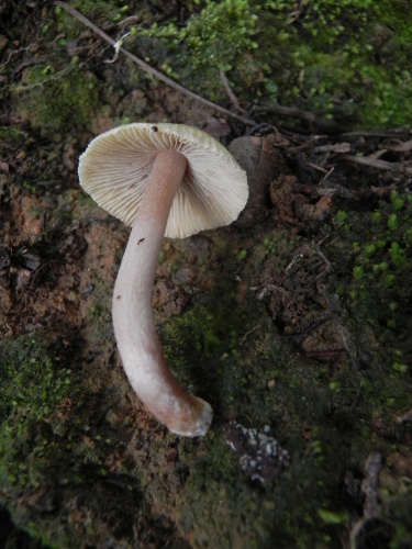 e0352220_21020077.jpg