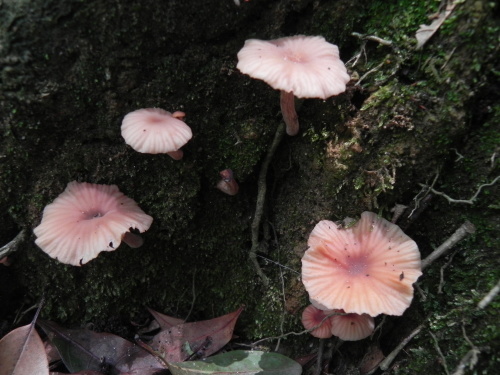 e0352220_21023903.jpg