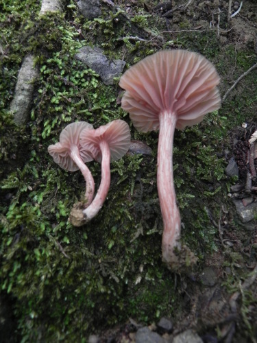 e0352220_21040344.jpg