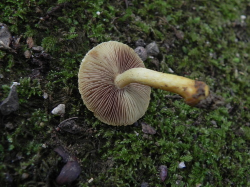 e0352220_21053452.jpg