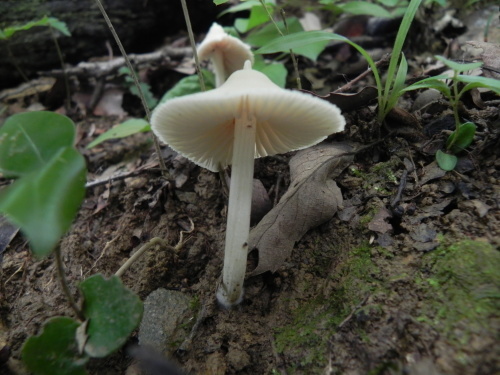 e0352220_21060746.jpg