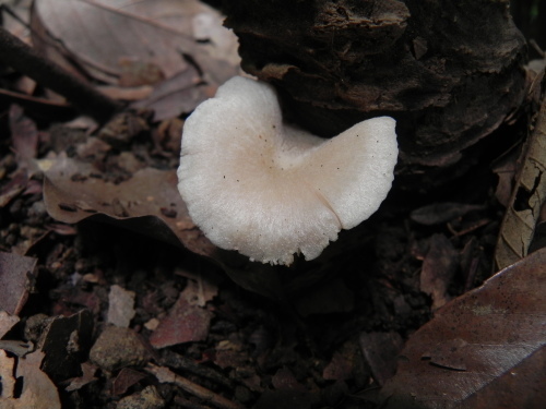 e0352220_21070146.jpg
