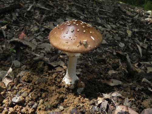 e0352220_21081456.jpg
