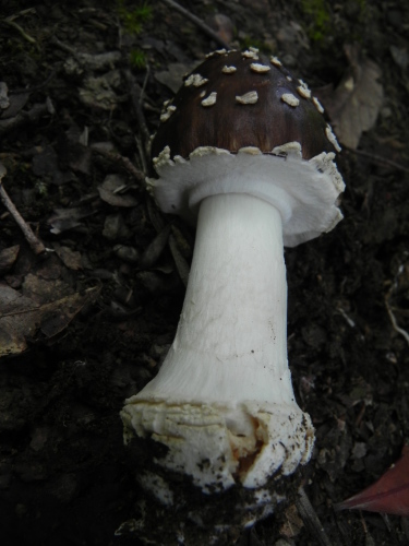 e0352220_21120743.jpg