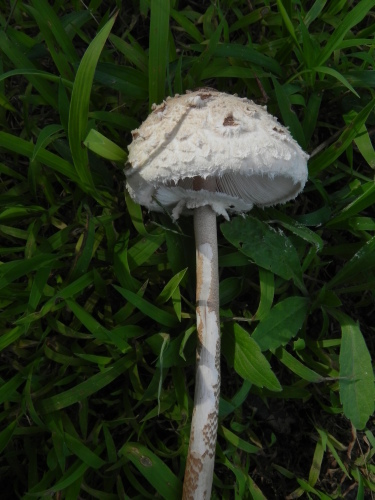 e0352220_21341887.jpg