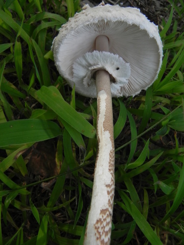 e0352220_21350470.jpg