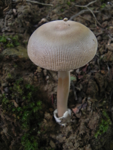 e0352220_21460874.jpg